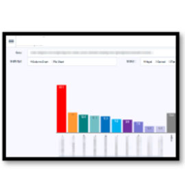 idealworks secret shopper project details