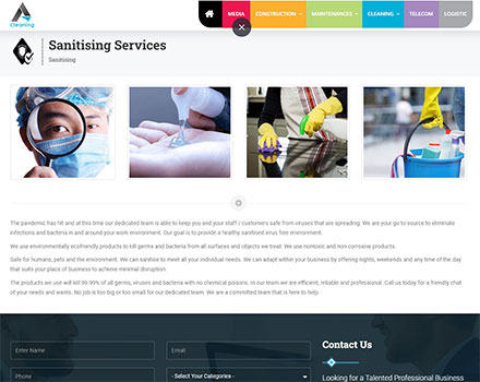 idealworks web design project details